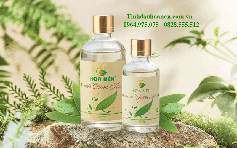 DỰ ÁN TINH HOA DẦU NÉN